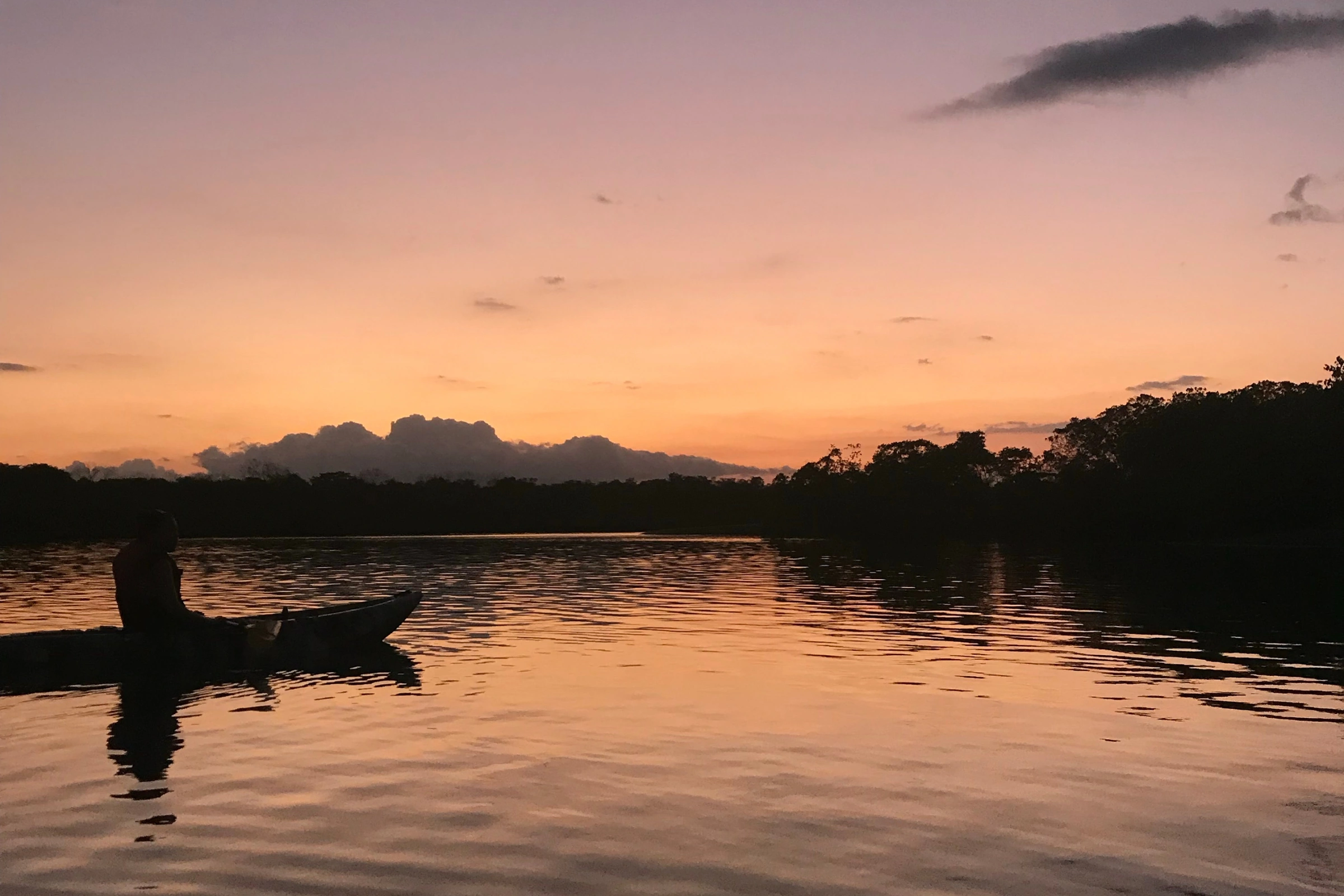 Puerto_Jimenez,_Costa_Rica[1].webp